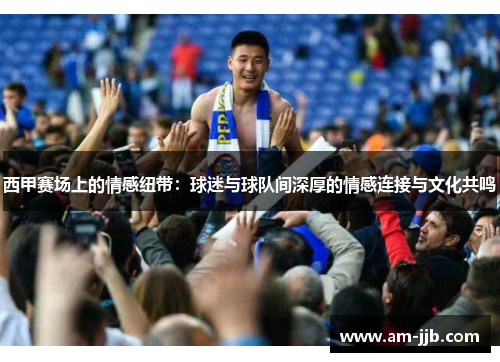 西甲赛场上的情感纽带：球迷与球队间深厚的情感连接与文化共鸣