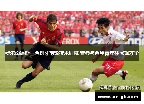 费尔南德斯:西班牙前锋技术细腻 曾参与西甲青年杯展现才华 费尔南德斯:西班牙前锋技术细腻 曾参与西甲青年杯展现才华